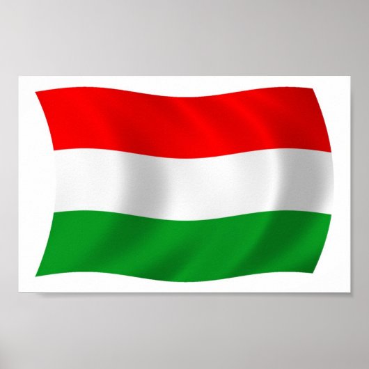 Ungarn Flaggenposter drucken Poster (Vorne)