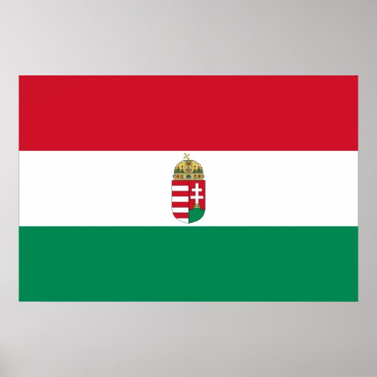 Ungarn mit Waffen, ungarische Flagge Poster (Vorne)