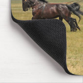 Ungarn - Pferde Mousepad (Ecke)