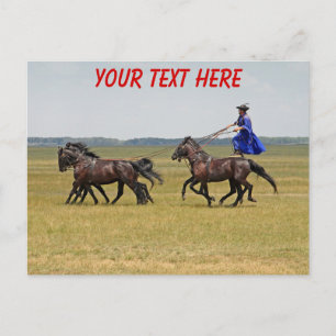 Ungarn Pferde und Pferde Postkarte