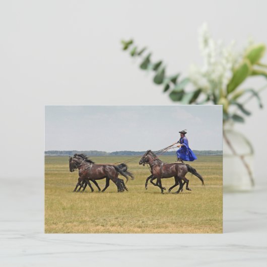 Ungarn - Pferdeausweis (Stehend Vorderseite)