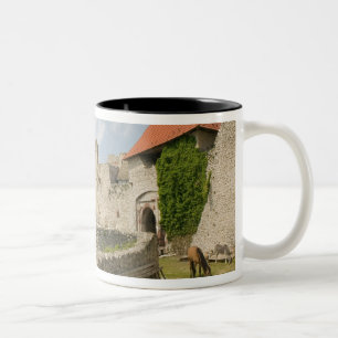 UNGARN, Region Balatonsee, SUMEG: Sumeg Zweifarbige Tasse