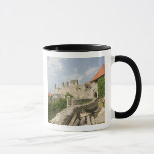 UNGARN, Region Lake Balaton, SUMEG: Sumeg Tasse
