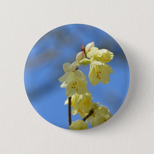 Ungeduld Button (Vorderseite)