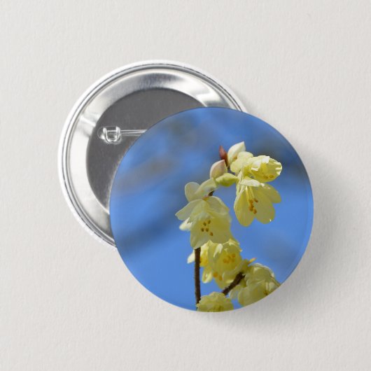 Ungeduld Button (Vorne & Hinten)