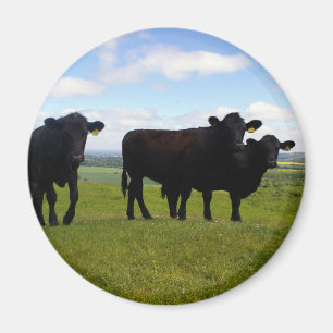 Ungeduld Magnet