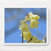 Ungeduld Mousepad (Vorne)