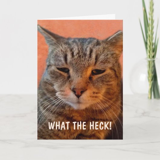 Ungeduldige Katze wird gut Karte (Vorderseite)