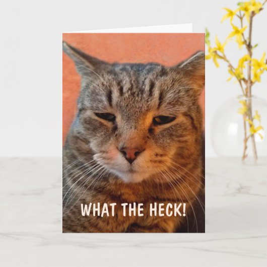 Ungeduldige Katze wird gut Karte (Gelbe Blume)