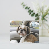 Ungeduldiger Fluggast Postkarte (Stehend Vorderseite)