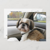 Ungeduldiger Fluggast Postkarte (Vorne/Hinten)