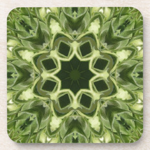 Ungeöffnete Sonnenblume Untersetzer