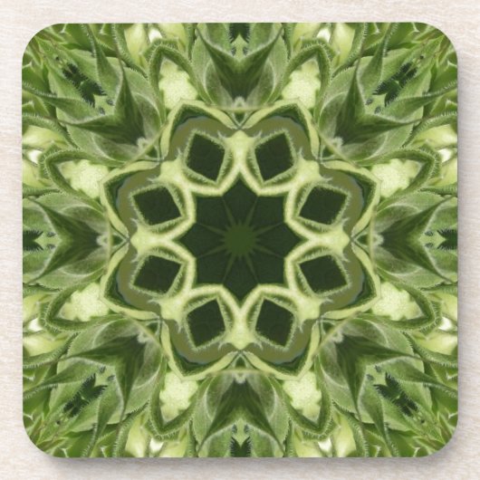 Ungeöffnete Sonnenblume Untersetzer (Vorderseite)