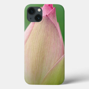 Ungeöffnetes Wasserlily Bulb, botanischer Durban Case-Mate iPhone Hülle