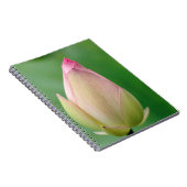 Ungeöffnetes Wasserlily Bulb, botanischer Durban Notizblock (Rechte Seite)