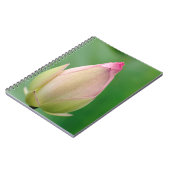 Ungeöffnetes Wasserlily Bulb, botanischer Durban Notizblock (Linke Seite)