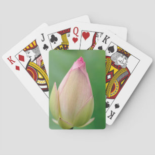Ungeöffnetes Wasserlily Bulb, botanischer Durban Spielkarten
