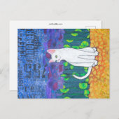 Ungerade Mit Augen weiße Katze Postkarte (Vorne/Hinten)