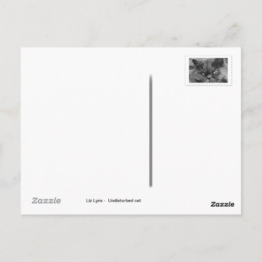 Ungestörte Katze Postkarte (Rückseite)