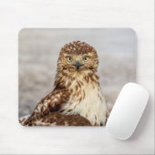 Ungetarnter Rotschwanzfalken auf dem Boden Mousepad (Mit Mouse)