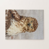 Ungetarnter Rotschwanzfalken auf dem Boden Puzzle (Horizontal)