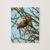 Ungetarnter Rotschwanzfalken in Ocotillo Bush Puzzle (Vertikal)