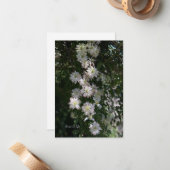 Ungewöhnlich während Clematis Mitteilungskarte (Vorderseite/Rückseite Beispiel)