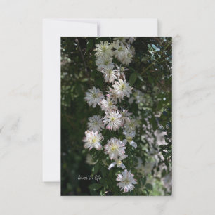 Ungewöhnlich während Clematis Mitteilungskarte