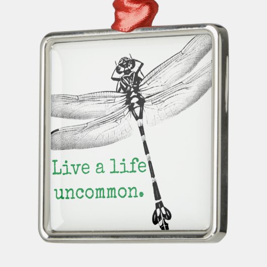 Ungewöhnliche Libelle Ornament Aus Metall (Links)