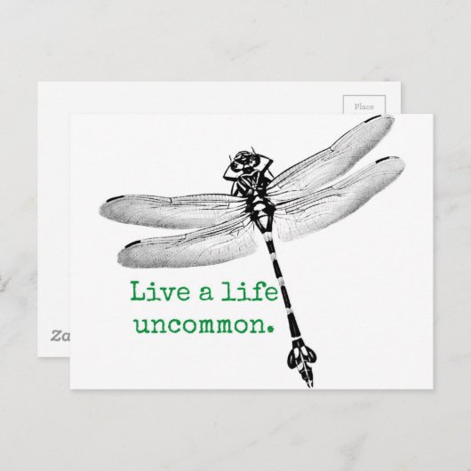 Ungewöhnliche Libelle Postkarte (Vorne/Hinten)