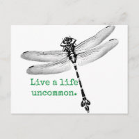 Ungewöhnliche Libelle