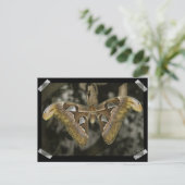 Ungewöhnliche Modemkarte Postkarte (Stehend Vorderseite)