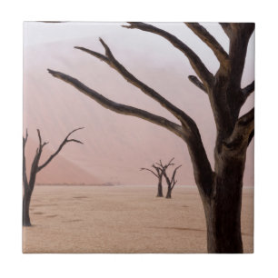 Ungewöhnliche Regenwetterbedingungen am frühen M Fliese