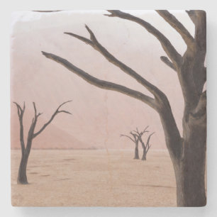 Ungewöhnliche Regenwetterbedingungen am frühen M Steinuntersetzer