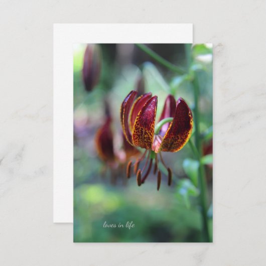 Ungewöhnliche Tiger Lily Mitteilungskarte (Vorne/Hinten)