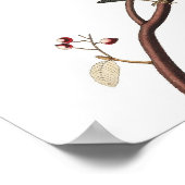 Ungewöhnliche Vintage Audubon Warbler Poster Print (Ecke)