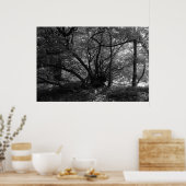 Ungewöhnlicher Baum, Bute Park, Cardiff, Wales BW Poster (Küche)