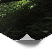 Ungewöhnlicher Baum, Bute Park, Cardiff, Wales Poster (Ecke)