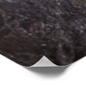 Ungezähmter Geist Tasmanischer Teufel Poster (Ecke)