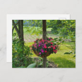 Ungeziefer in einem Aktionskorb Postkarte (Vorne/Hinten)