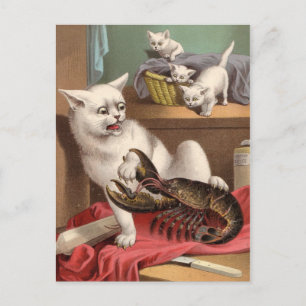 Ungeziefte Katzen & Hummer-Postkarte Postkarte