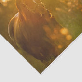 Unglaublich Atemberaubendes Pferd im Sonnenlicht g Seidenpapier (Ausschnitt)