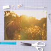 Unglaublich Atemberaubendes Pferd im Sonnenlicht g Seidenpapier (Handwerk)