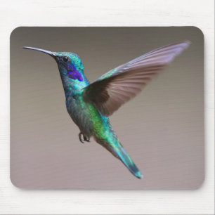 Unglaublich schön und farbenfroh Hummingbird Mousepad