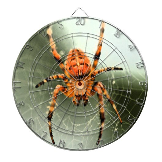 Unglaublich Spider Dartboard Dartscheibe (vorne)