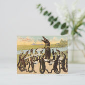 Unglaublich witzig Florida Gator Chorus Postkarte (Stehend Vorderseite)