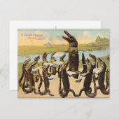 Unglaublich witzig Florida Gator Chorus Postkarte (Vorne/Hinten)