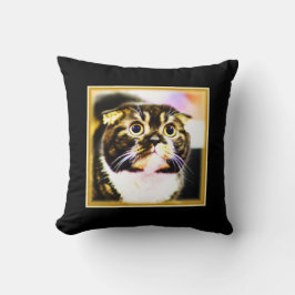 Unglaublich witzig Foto einer lustigen Katze. Jetz Kissen