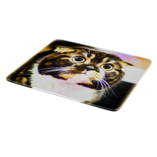 Unglaublich witzig Foto einer lustigen Katze. Jetz Schneidebrett (Ecke)