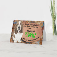 Unglaublich witzig Gedanke von Ihrem Basset Hound 